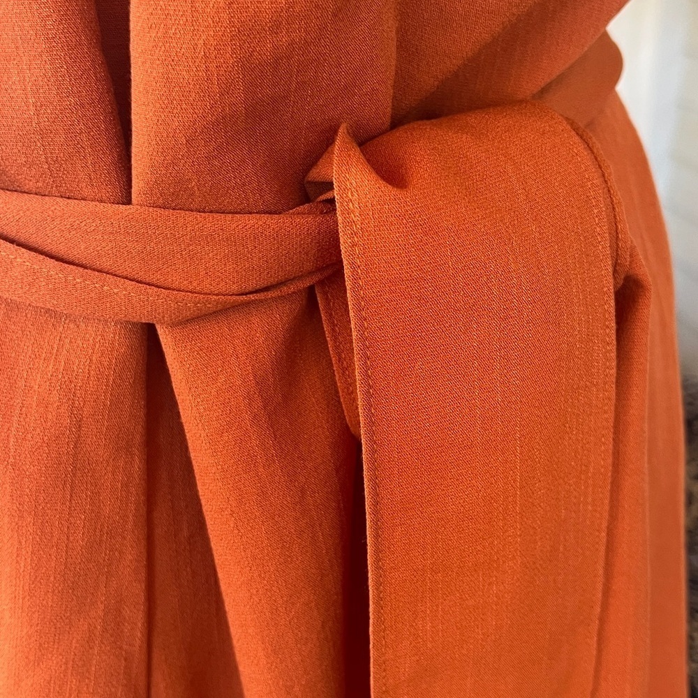 Pumpkin Color Jumpsuit - Picture 4 of 5